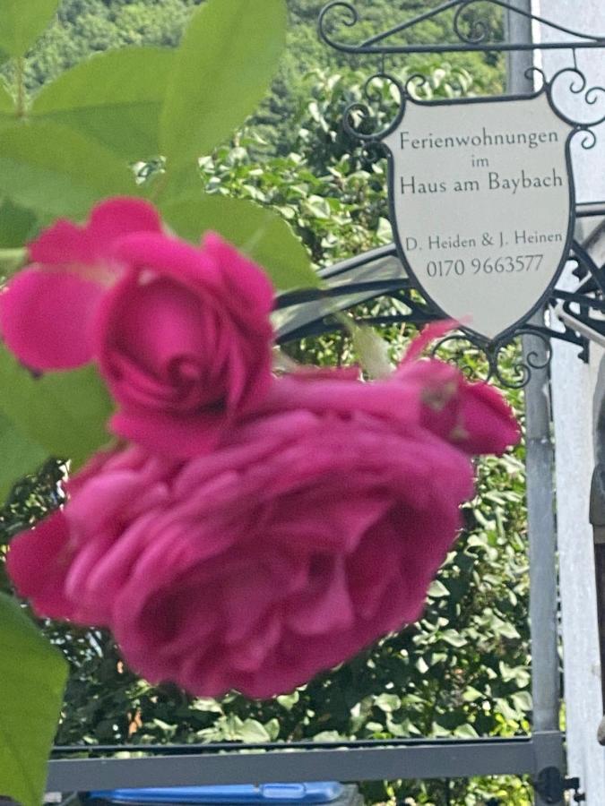 Ferienhaus Am Baybach In Burgen An Der Mosel 外观 照片
